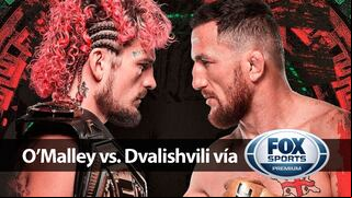 FOX Sports - UFC 306, O’Malley vs. Dvalishvili y Grasso vs Shevchenko por TV y Online