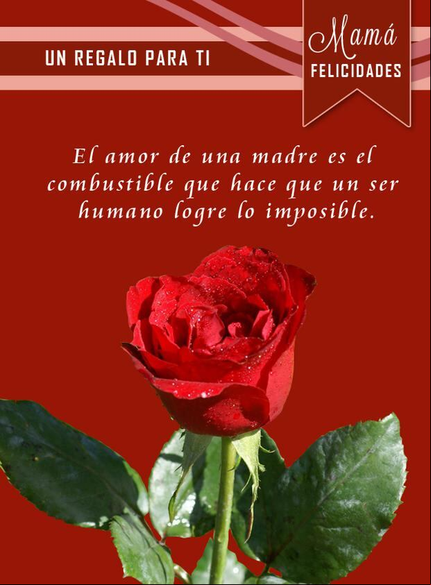 Frases por el Día de la Madre 2023. (Foto: Pixabay)